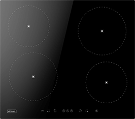 Induktionsfeld Reparatur Borna